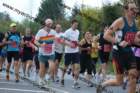 img_0085_small.jpg