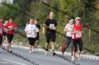img_0481_small.jpg