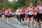 img_0491_small.jpg
