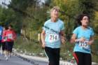 img_0532_small.jpg