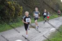 img_0113_small.jpg