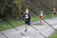 img_0115_small.jpg
