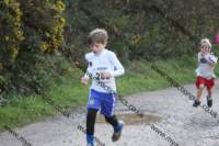 img_0118_small.jpg