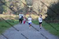 img_0267_small.jpg