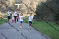 img_0269_small.jpg