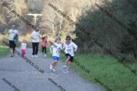 img_0273_small.jpg