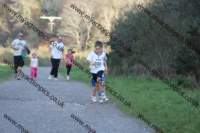 img_0275_small.jpg