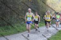 img_0082_small.jpg