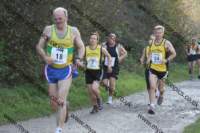 img_0083_small.jpg