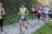 img_0086_small.jpg