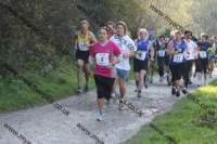 img_0088_small.jpg