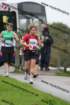 img_7521_small.jpg