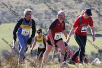img_0312_small.jpg