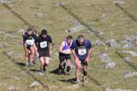 img_0445_small.jpg