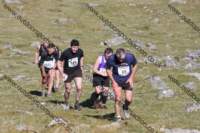 img_0446_small.jpg