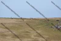 img_0709_small.jpg