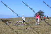 img_0713_small.jpg