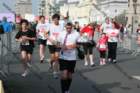 img_0740_small.jpg